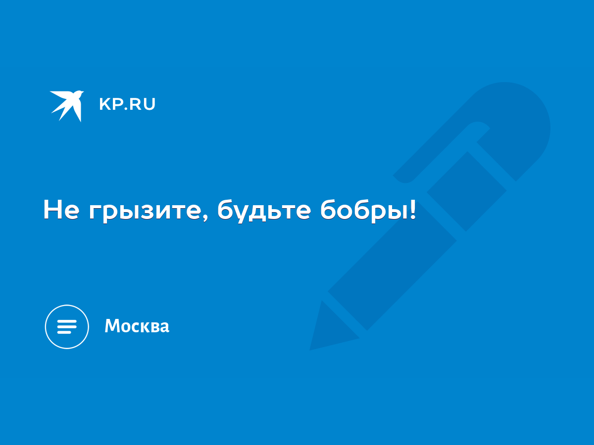 Не грызите, будьте бобры! - KP.RU