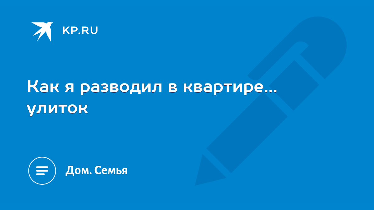 Как я разводил в квартире… улиток - KP.RU