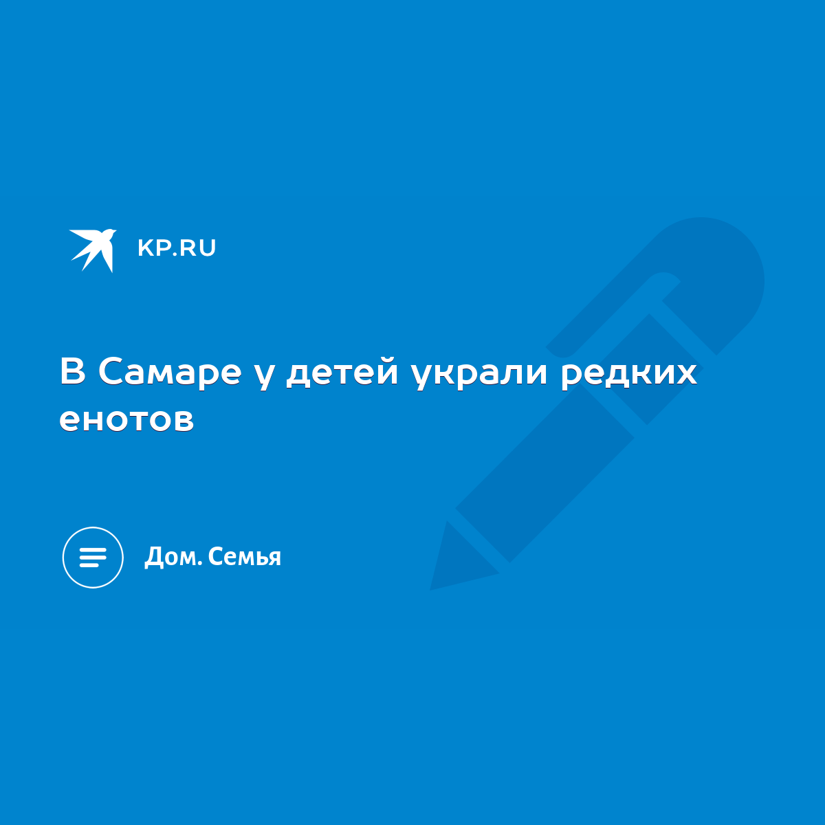 В Самаре у детей украли редких енотов - KP.RU