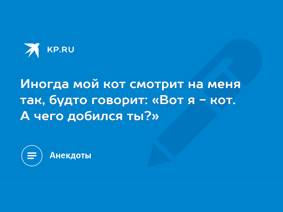 Иногда мой кот смотрит на меня так, будто говорит: «Вот я - кот. А чего  добился ты?» - KP.RU