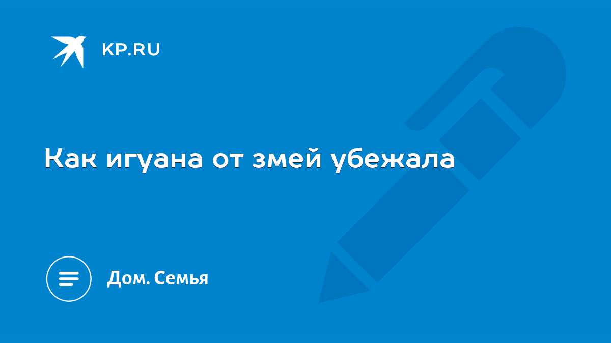 Как игуана от змей убежала - KP.RU