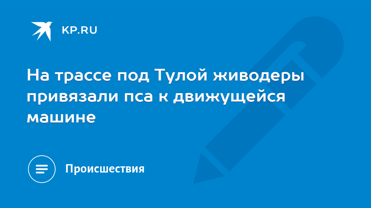 На трассе под Тулой живодеры привязали пса к движущейся машине - KP.RU