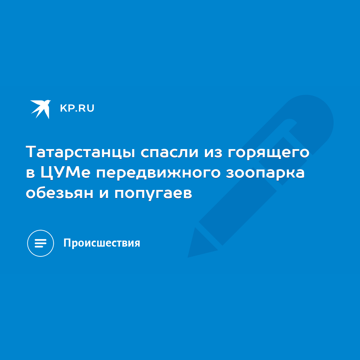 Татарстанцы спасли из горящего в ЦУМе передвижного зоопарка обезьян и  попугаев - KP.RU