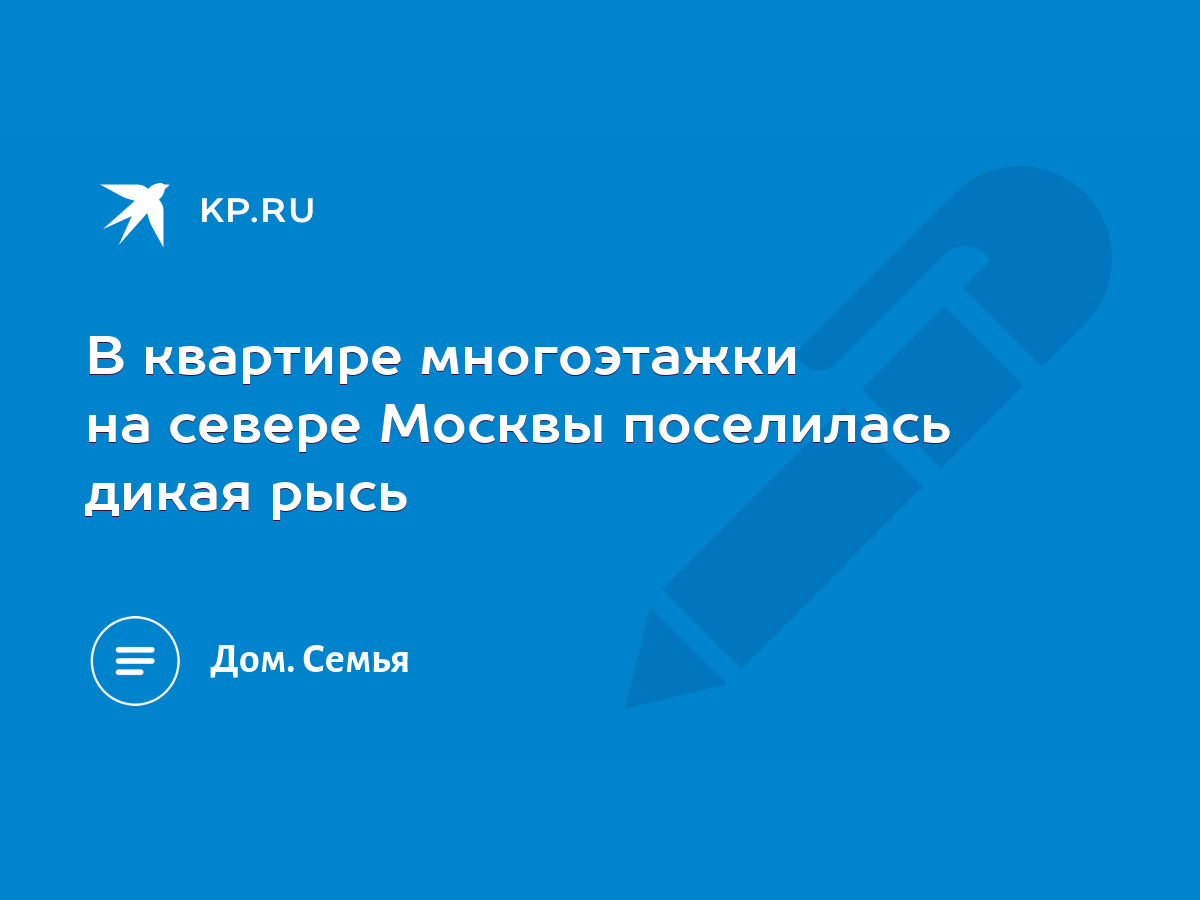 В квартире многоэтажки на севере Москвы поселилась дикая рысь - KP.RU