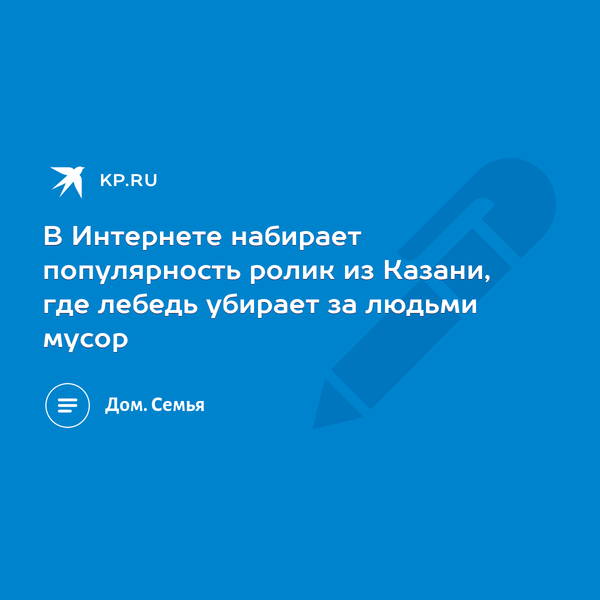 В Интернете набирает популярность ролик из Казани, где лебедь убирает за  людьми мусор - KP.RU