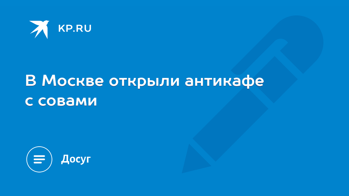 В Москве открыли антикафе с совами - KP.RU