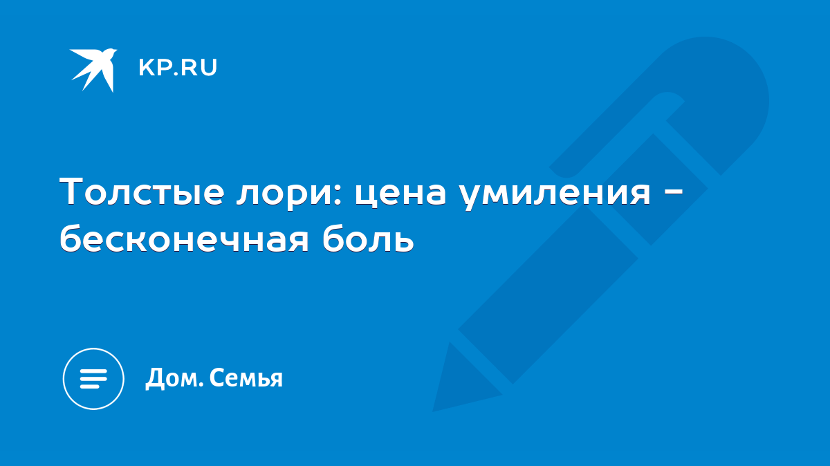 Толстые лори: цена умиления - бесконечная боль - KP.RU