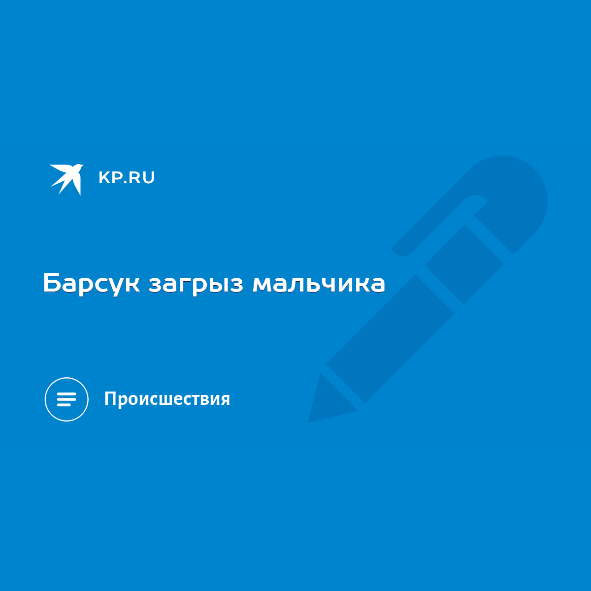 Барсук загрыз мальчика - KP.RU