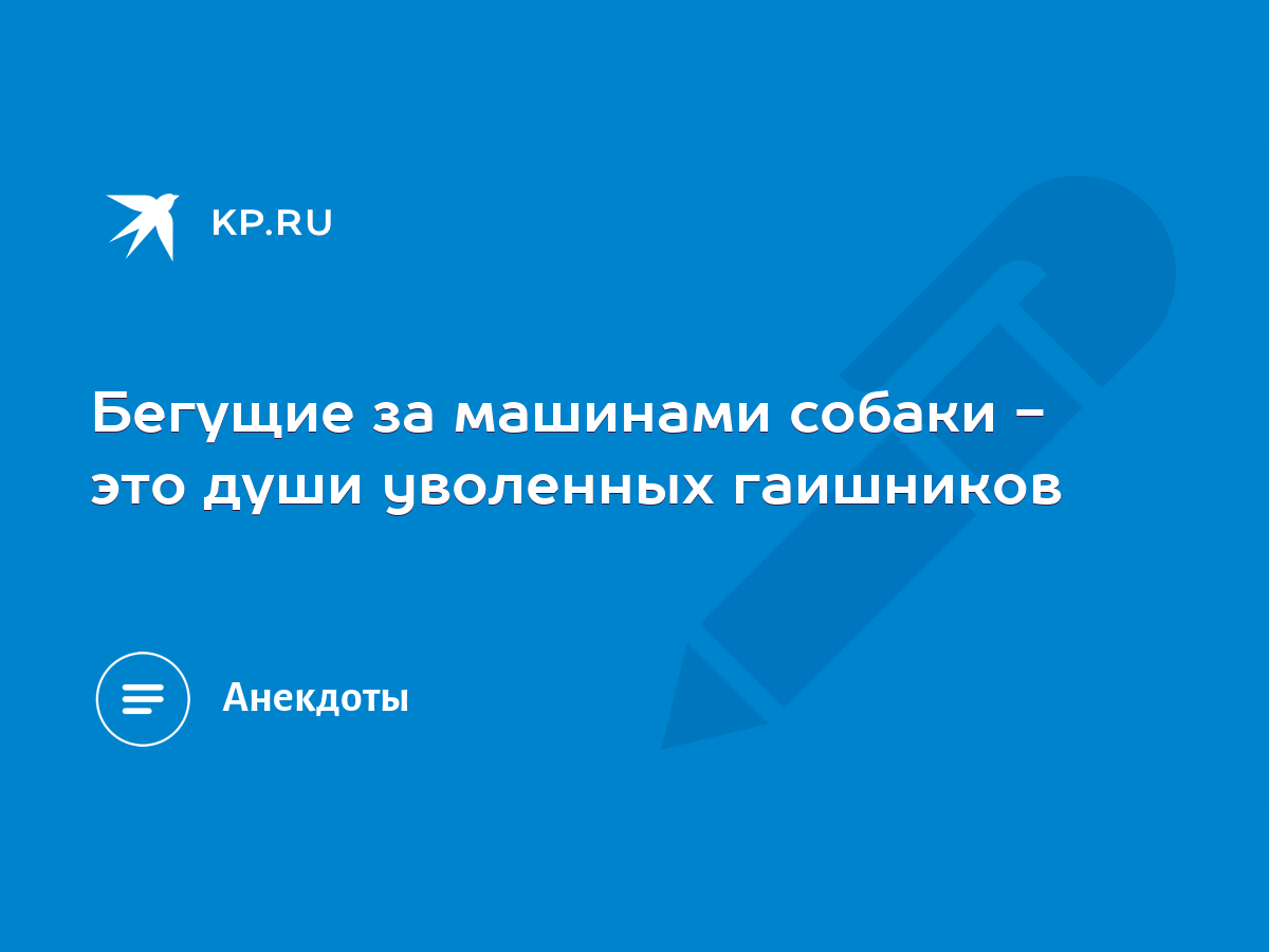 Бегущие за машинами собаки - это души yволенныx гаишников - KP.RU