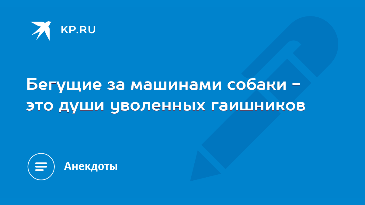 Бегущие за машинами собаки - это души yволенныx гаишников - KP.RU