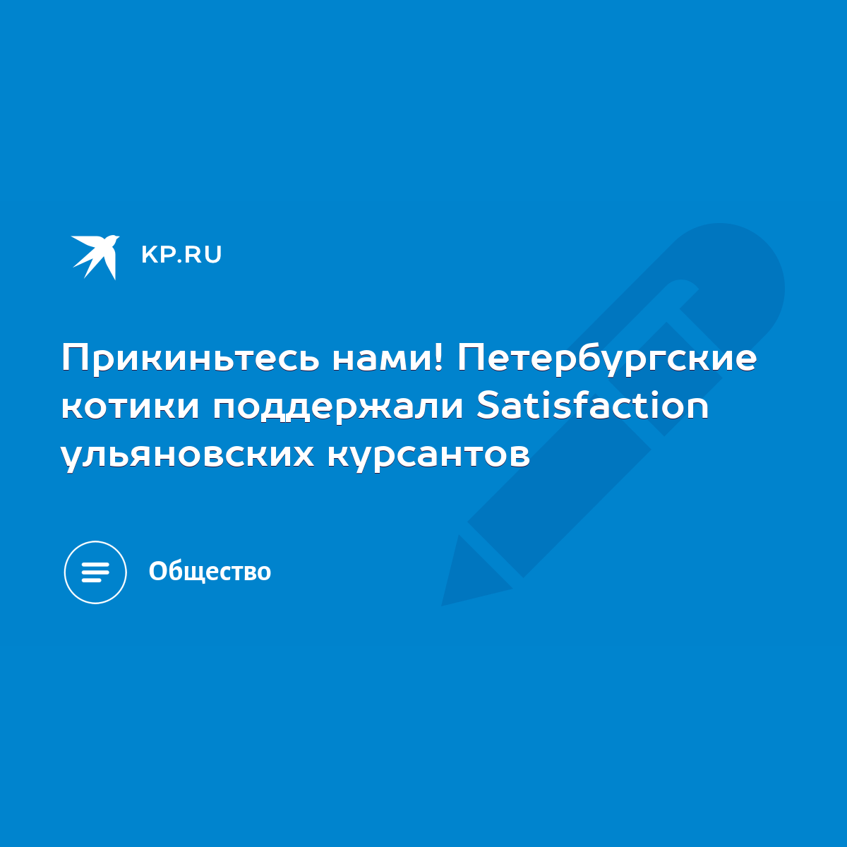 Прикиньтесь нами! Петербургские котики поддержали Satisfaction ульяновских  курсантов - KP.RU