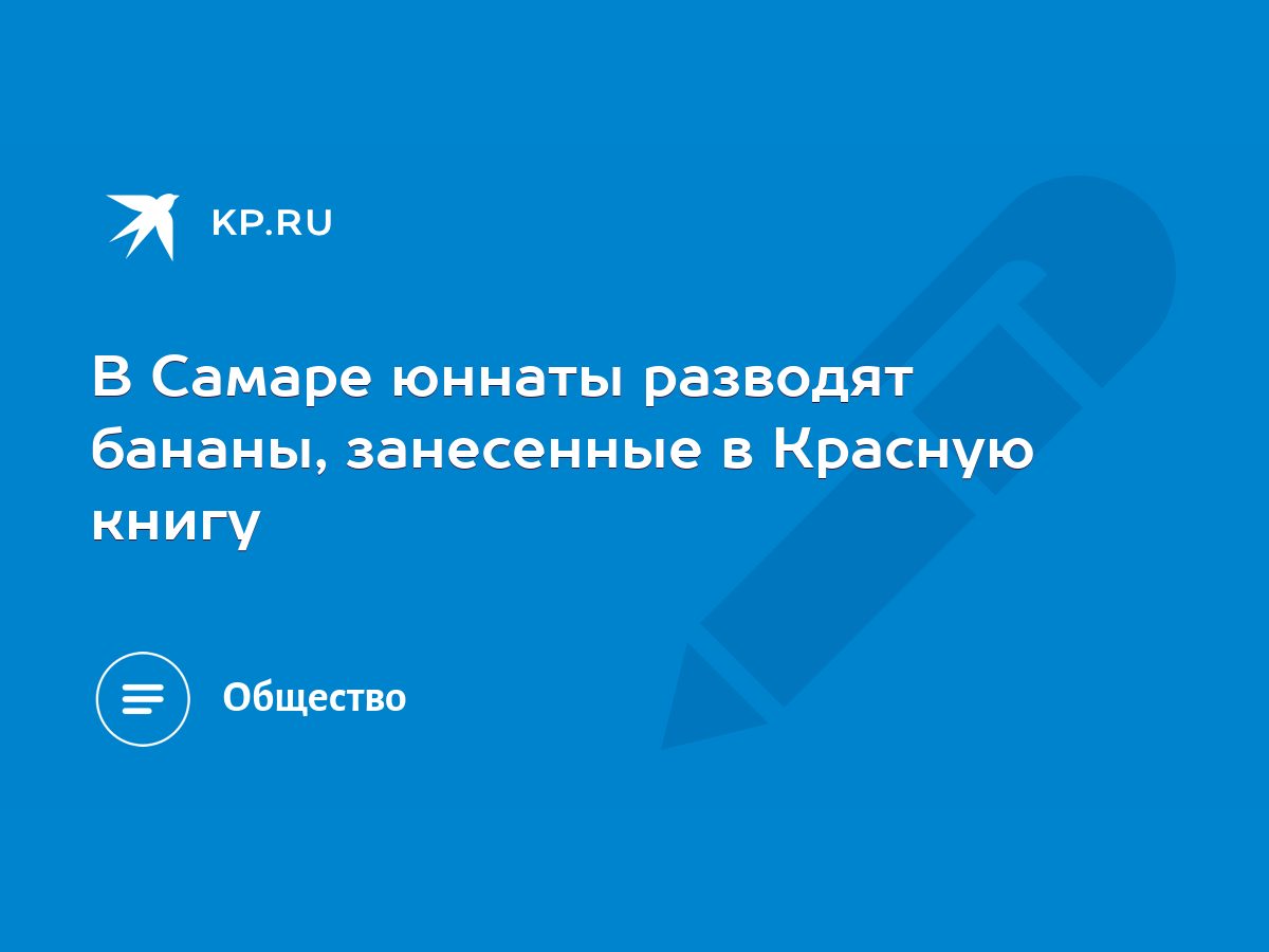 В Самаре юннаты разводят бананы, занесенные в Красную книгу - KP.RU