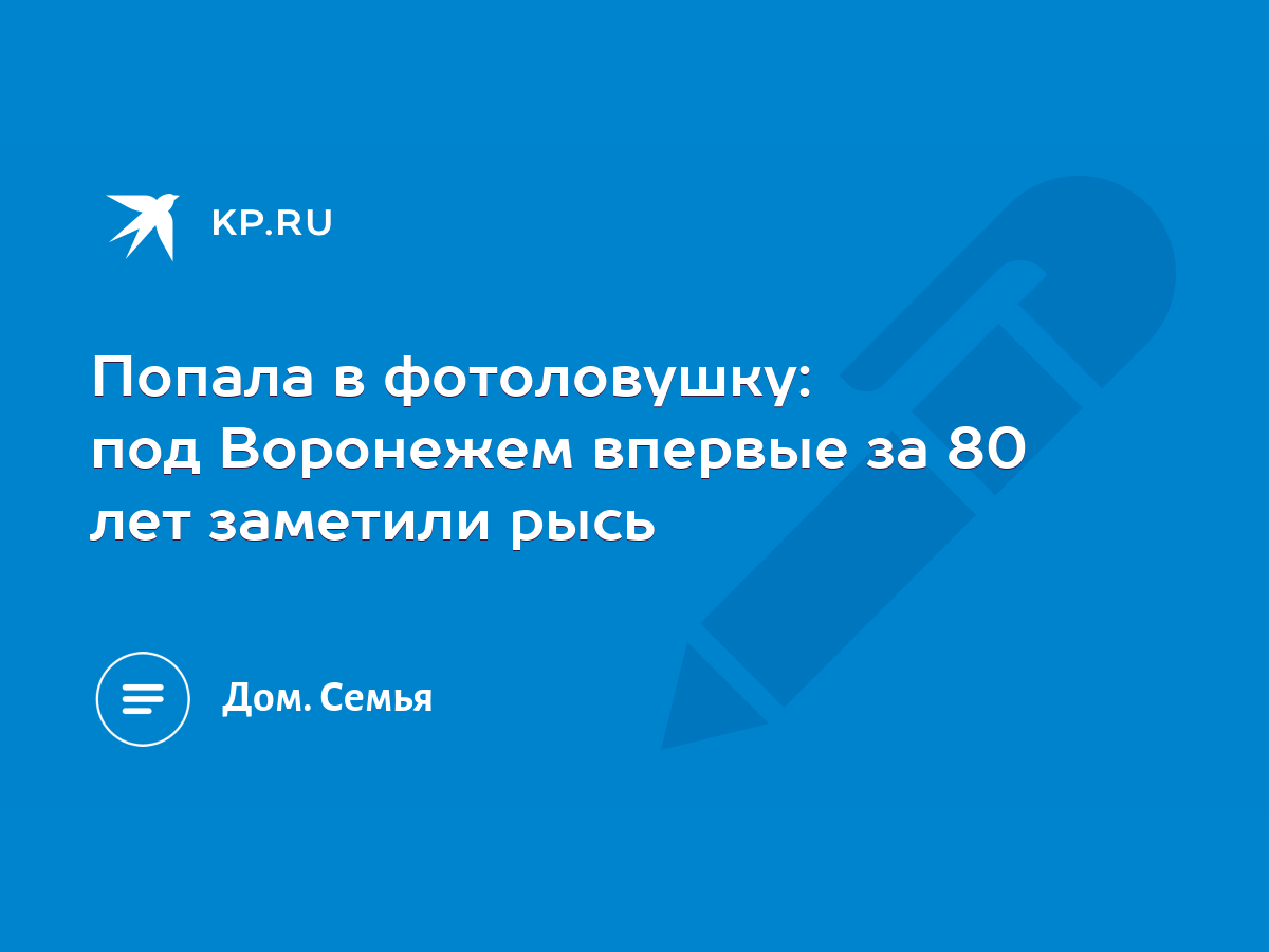 Попала в фотоловушку: под Воронежем впервые за 80 лет заметили рысь - KP.RU