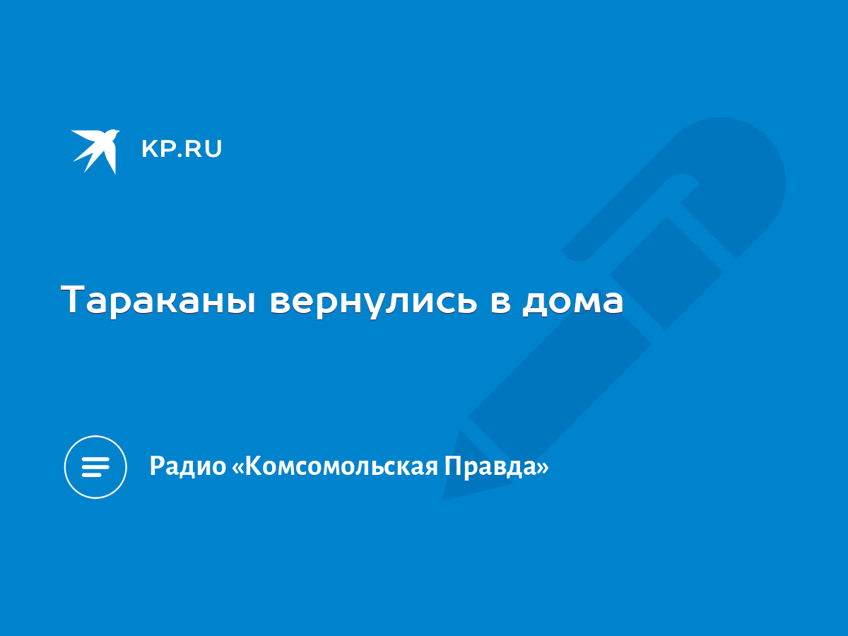 Тараканы вернулись в дома - KP.RU