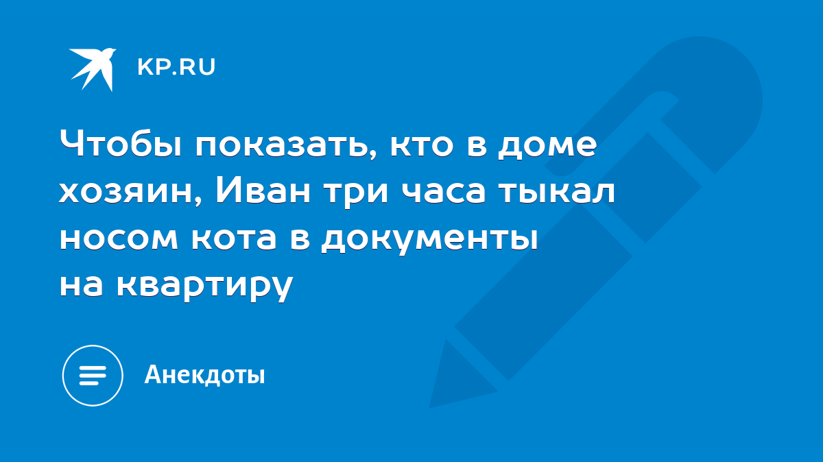 Чтобы показать, кто в доме хозяин, Иван три часа тыкал носом кота в  документы на квартиру - KP.RU