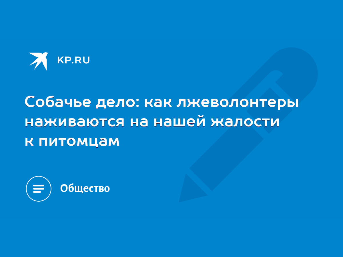 Собачье дело: как лжеволонтеры наживаются на нашей жалости к питомцам -  KP.RU