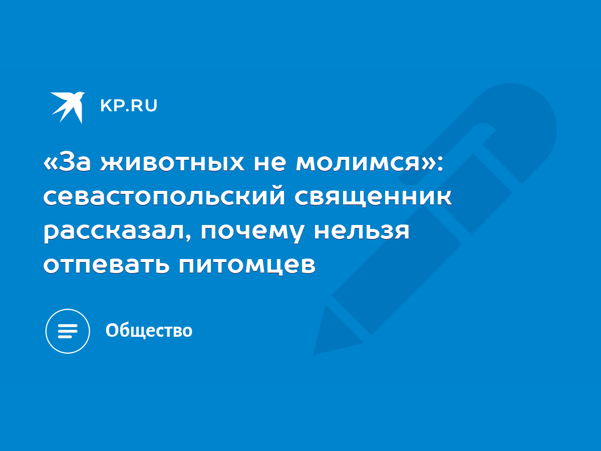 За животных не молимся»: севастопольский священник рассказал, почему нельзя  отпевать питомцев - KP.RU