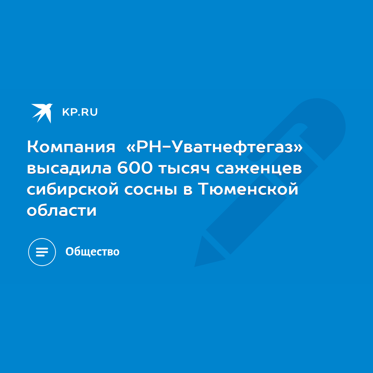 Компания «РН-Уватнефтегаз» высадила 600 тысяч саженцев сибирской сосны в  Тюменской области - KP.RU