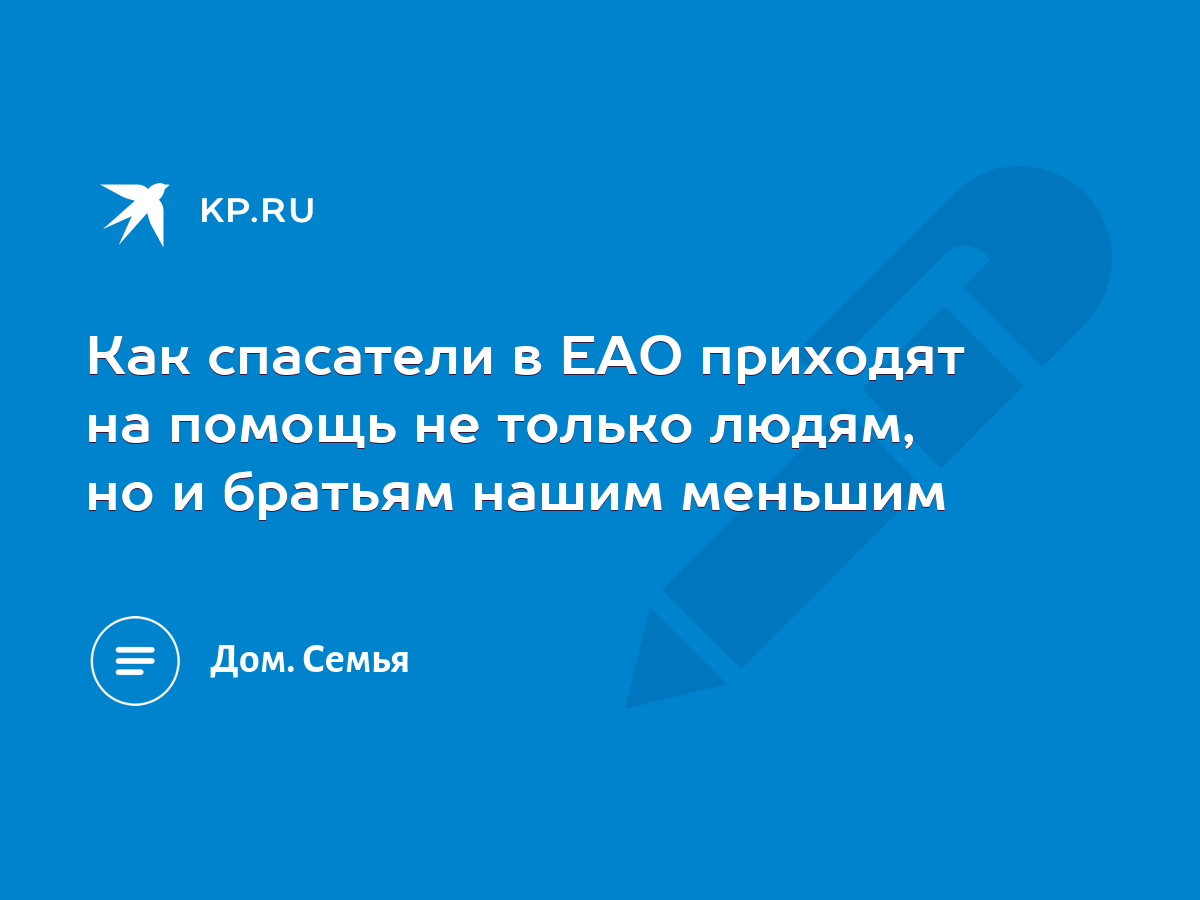 МЧС и песики: как спасатели в ЕАО приходят на помощь не только людям, но и братьям  нашим меньшим - KP.RU