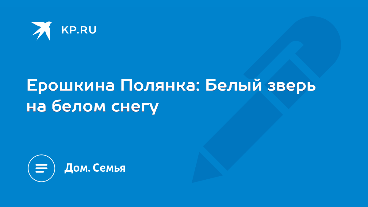 Ерошкина Полянка: Белый зверь на белом снегу - KP.RU