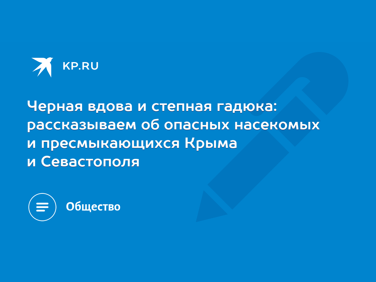 Черная вдова и степная гадюка: рассказываем об опасных насекомых и  пресмыкающихся Крыма и Севастополя - KP.RU