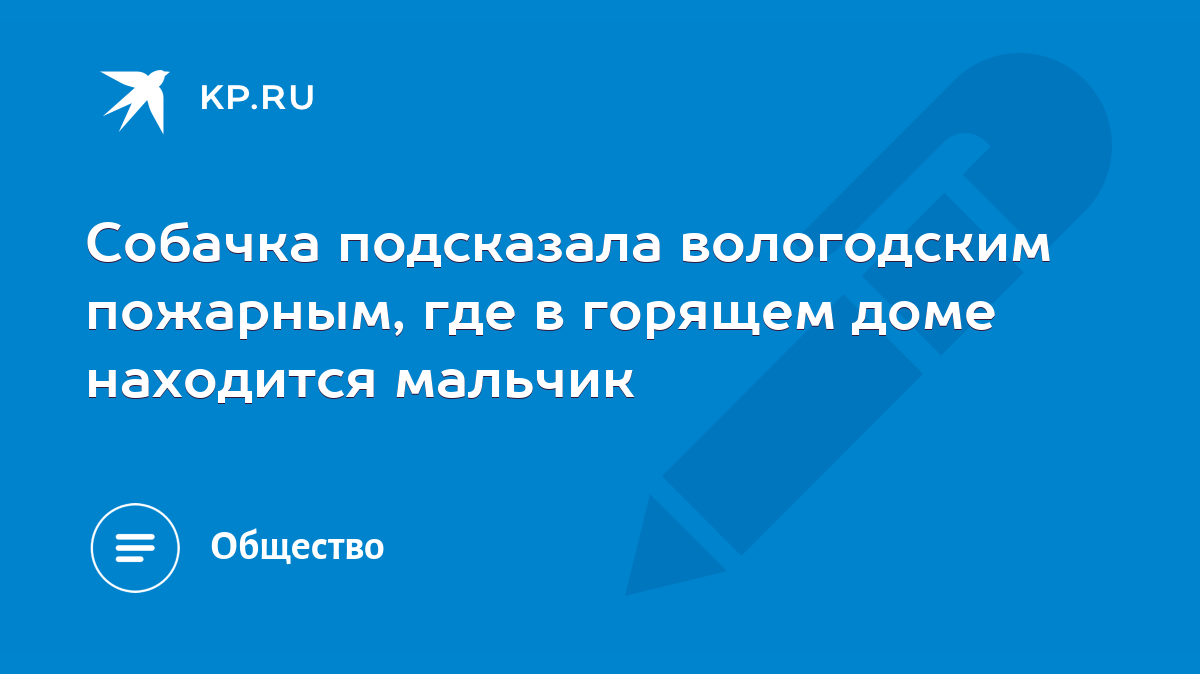 Собачка подсказала вологодским пожарным, где в горящем доме находится  мальчик - KP.RU