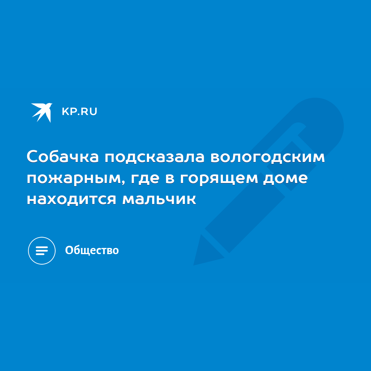 Собачка подсказала вологодским пожарным, где в горящем доме находится  мальчик - KP.RU