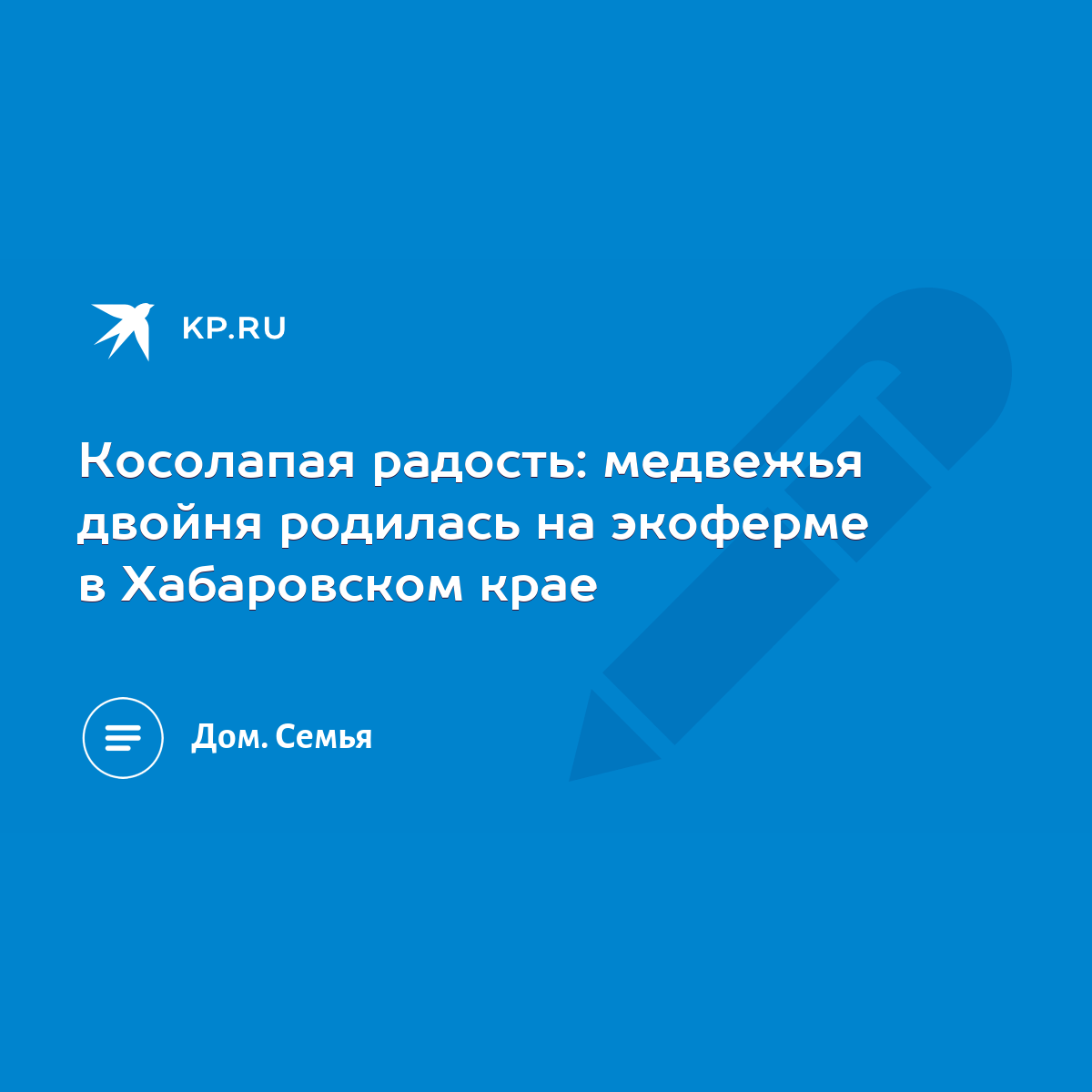 Косолапая радость: медвежья двойня родилась на экоферме в Хабаровском крае  - KP.RU