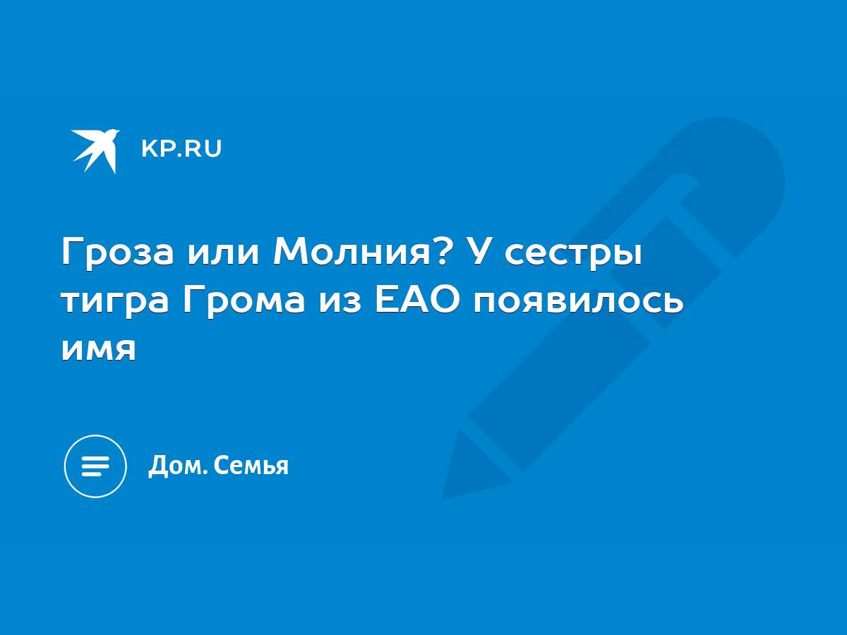 Гроза или Молния? У сестры тигра Грома из ЕАО появилось имя - KP.RU