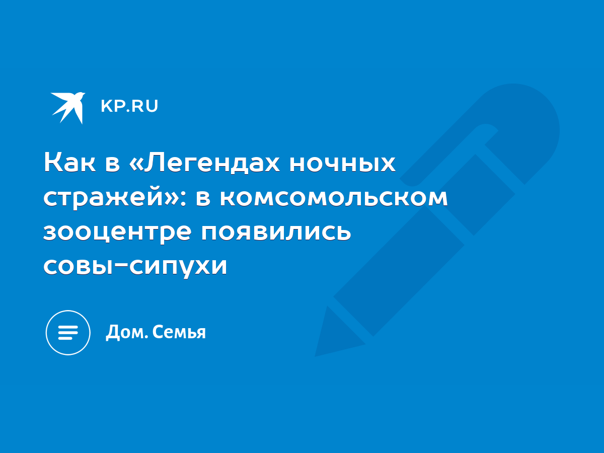 Как в «Легендах ночных стражей»: в комсомольском зооцентре появились совы- сипухи - KP.RU