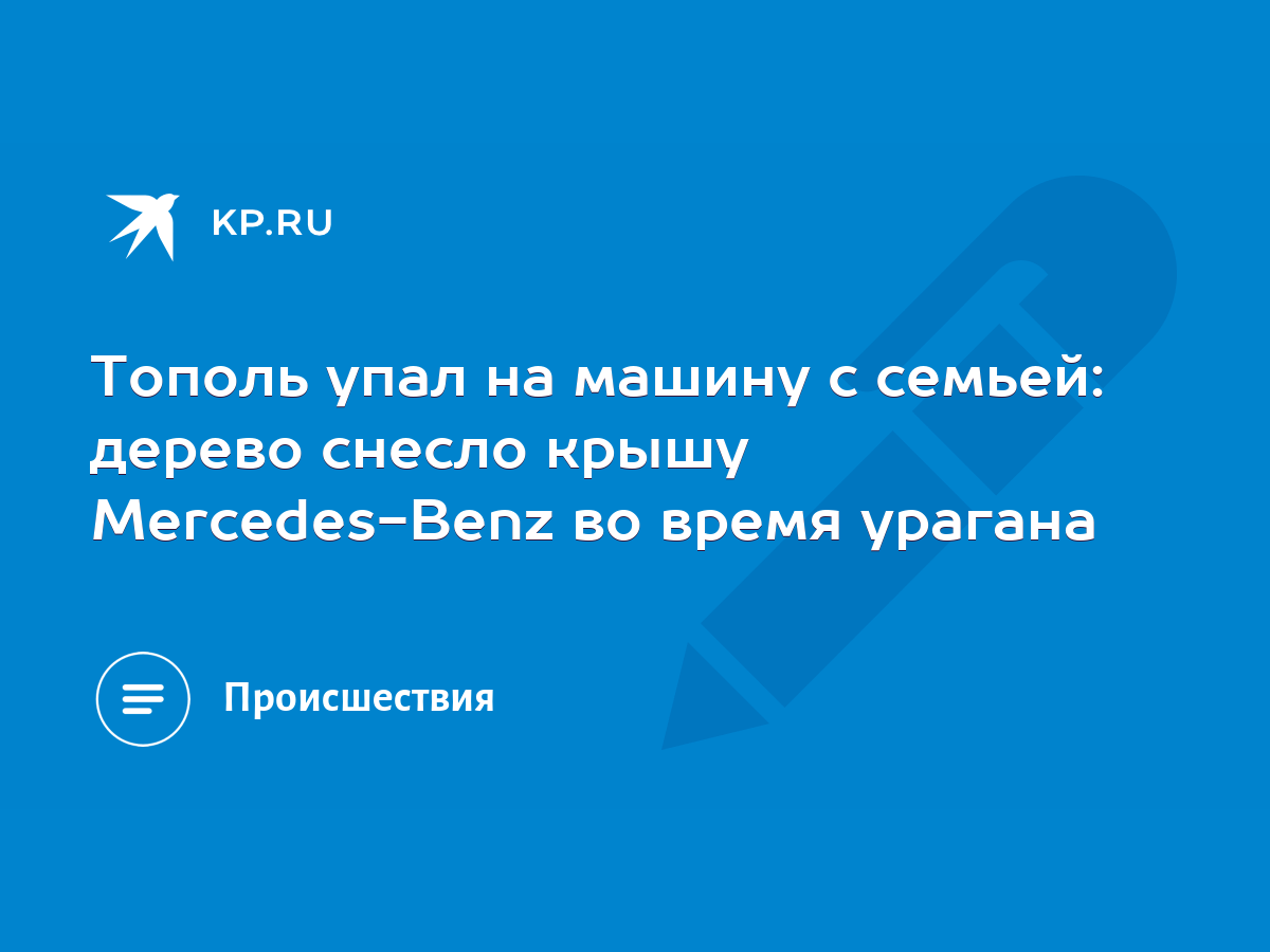 Тополь упал на машину с семьей: дерево снесло крышу Mercedes-Benz во время  урагана - KP.RU