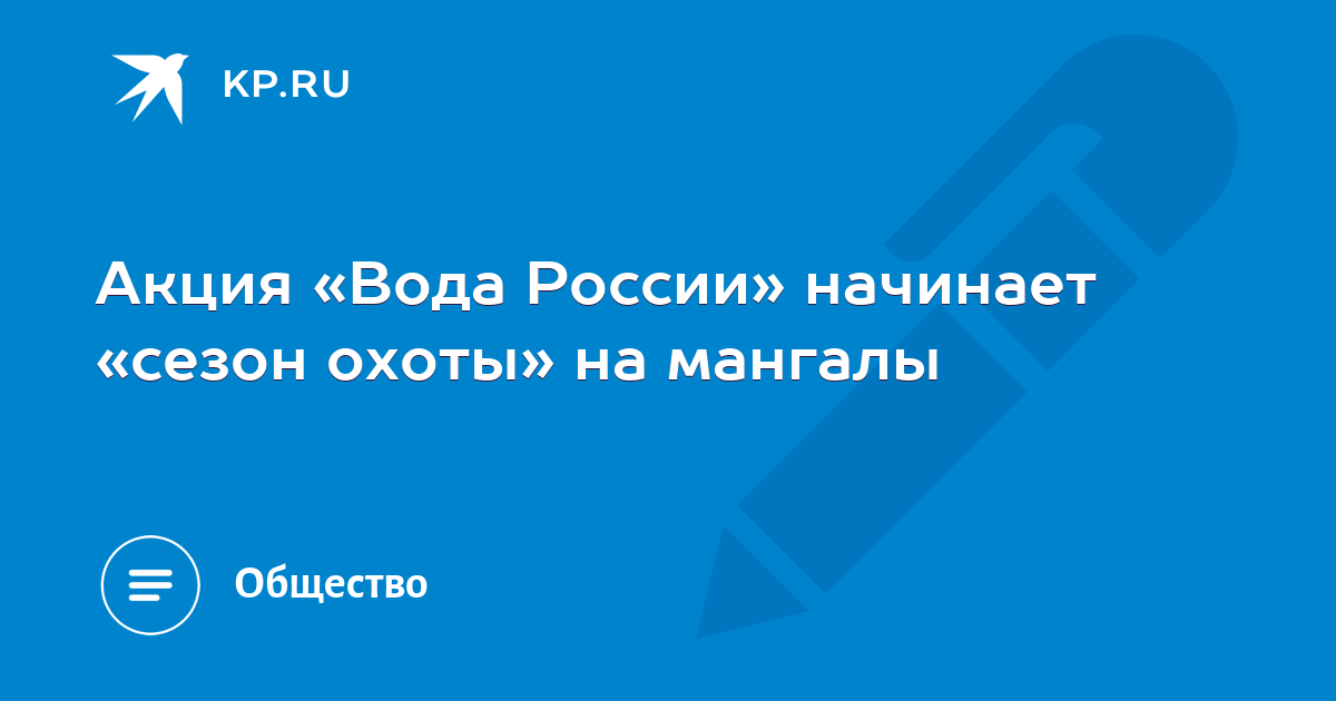 Акция «Вода России» начинает «сезон охоты» на мангалы - KP.RU