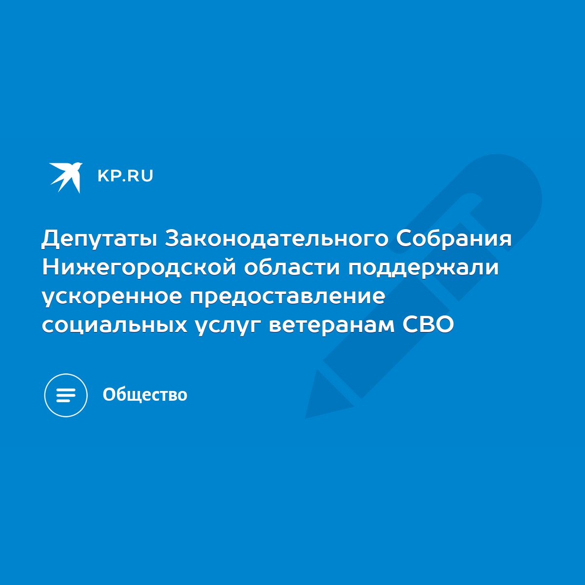 Депутаты Законодательного Собрания Нижегородской области поддержали  ускоренное предоставление социальных услуг ветеранам СВО - KP.RU