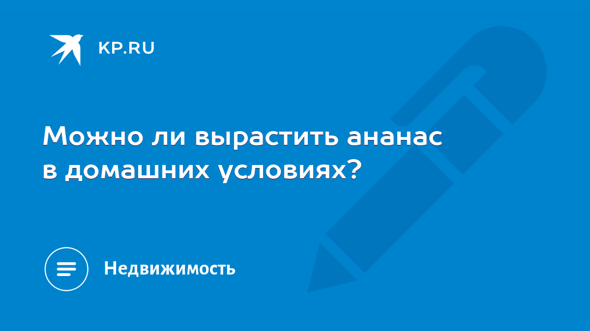 Можно ли вырастить ананас в домашних условиях? - KP.RU