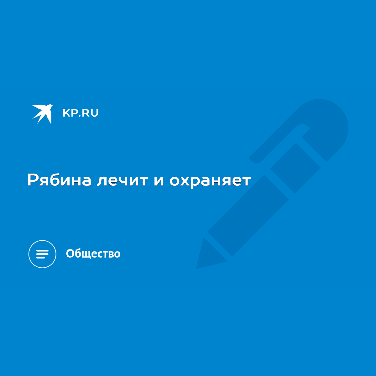 Рябина лечит и охраняет - KP.RU