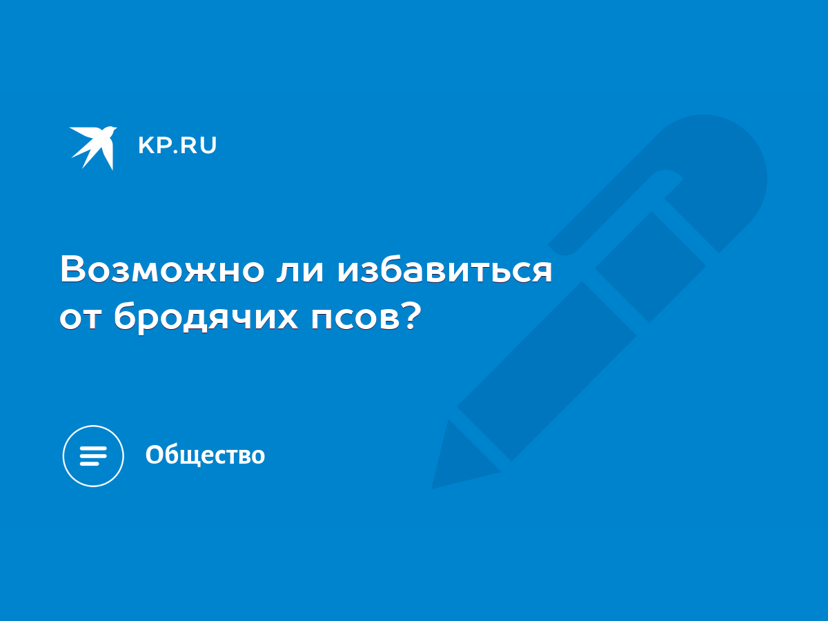 Возможно ли избавиться от бродячих псов? - KP.RU