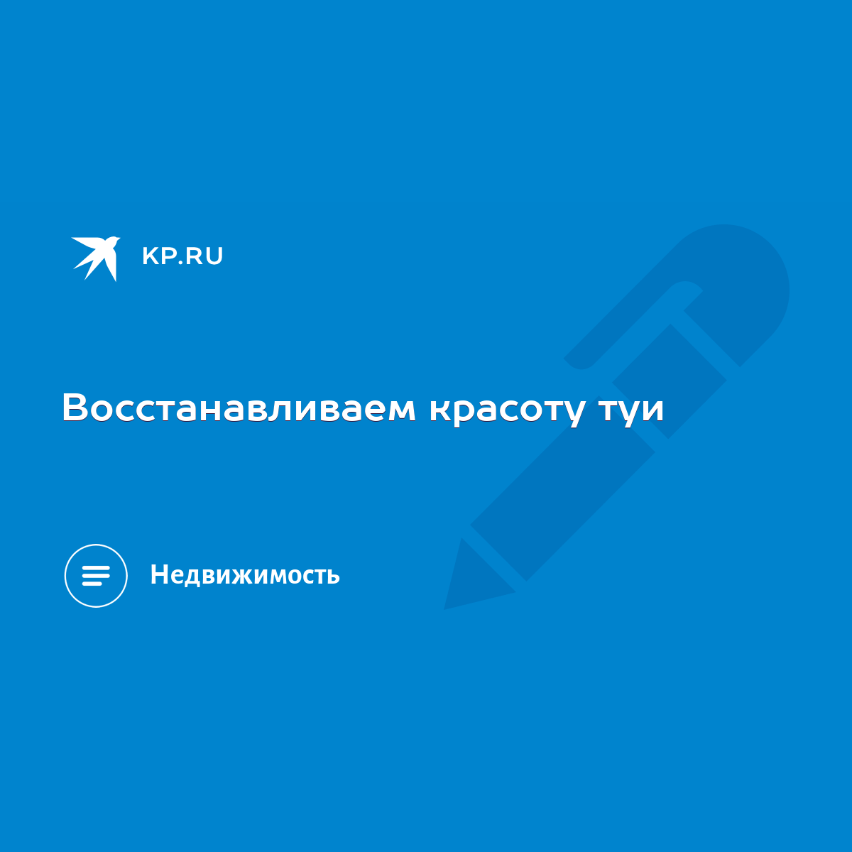 Восстанавливаем красоту туи - KP.RU