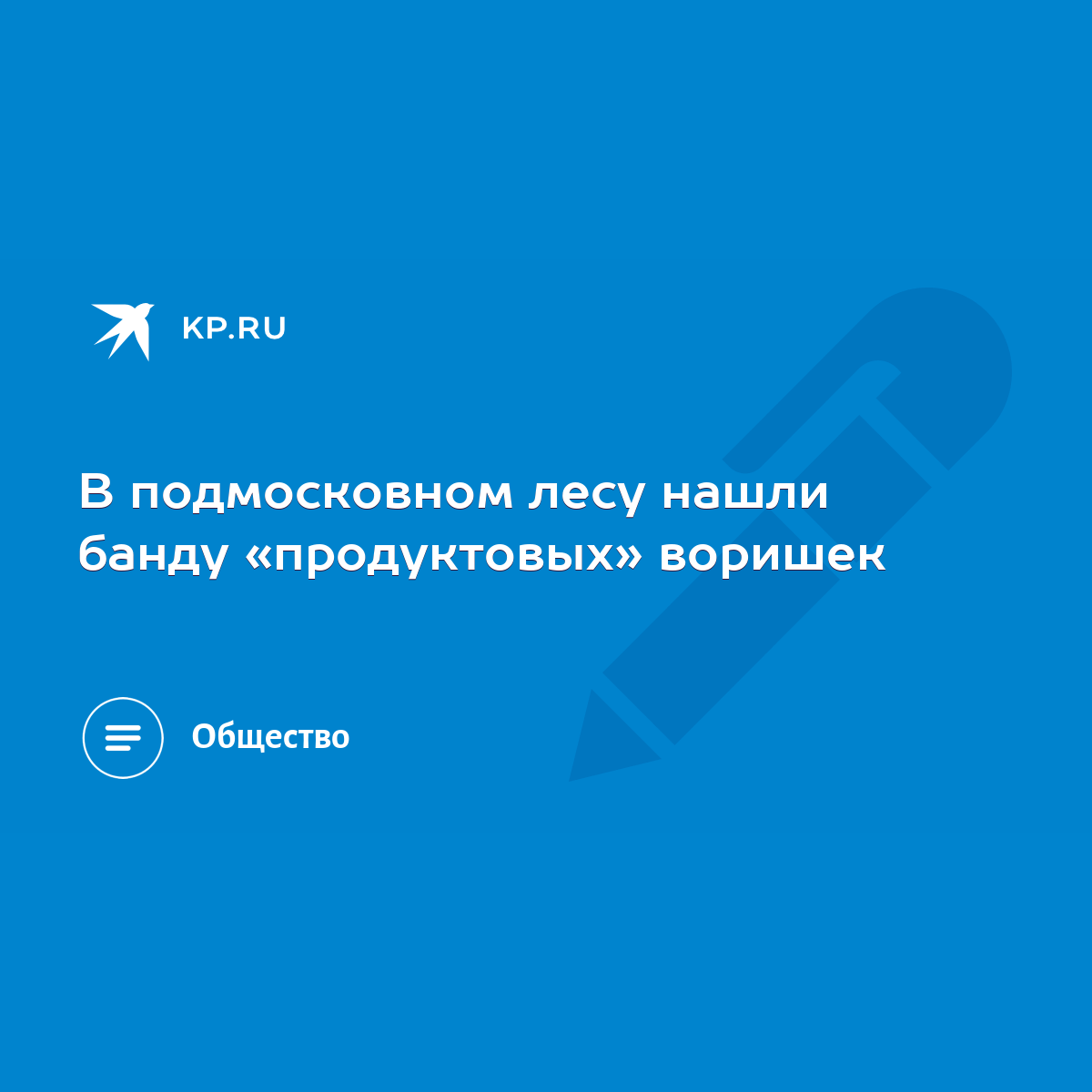 В подмосковном лесу нашли банду «продуктовых» воришек - KP.RU