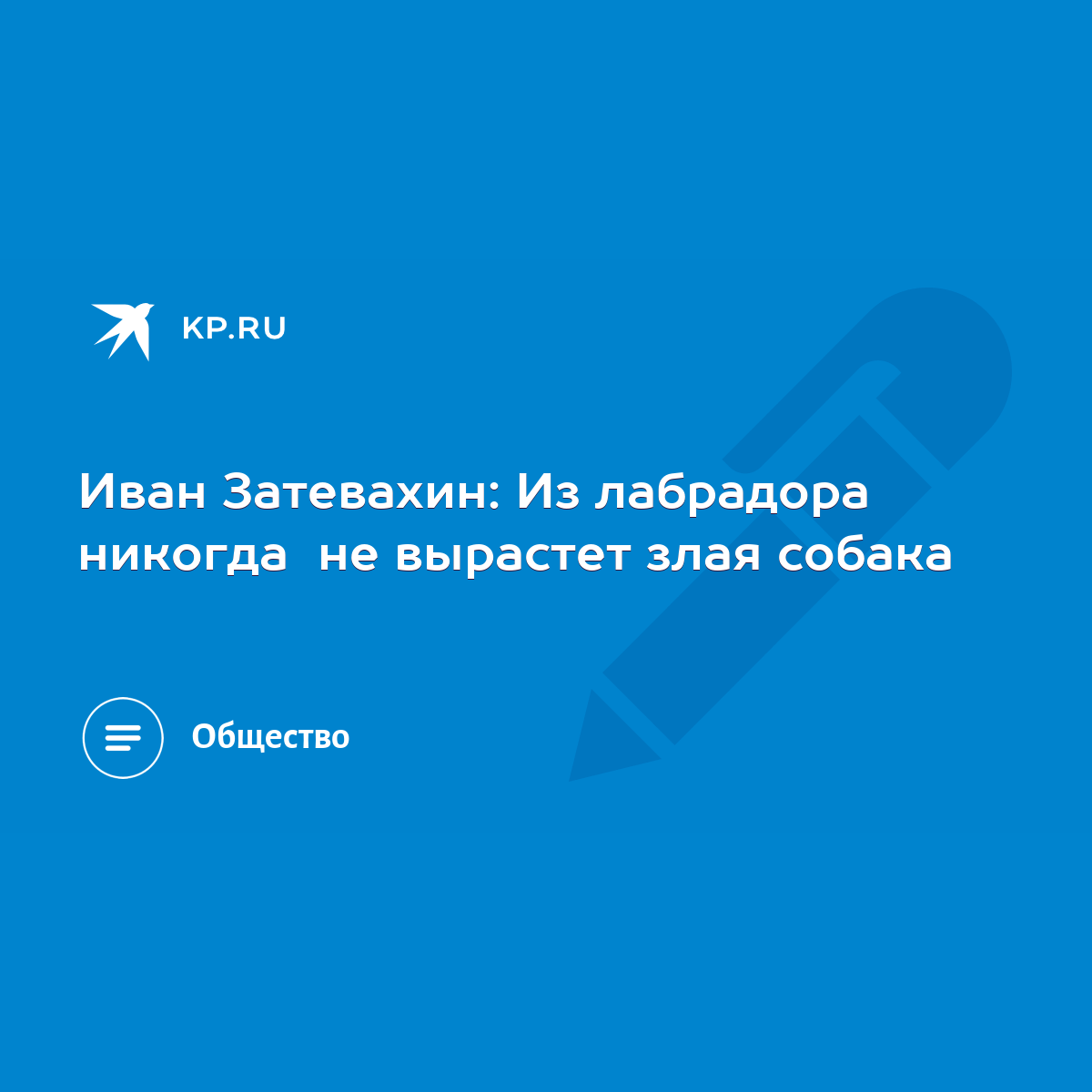 Иван Затевахин: Из лабрадора никогда не вырастет злая собака - KP.RU