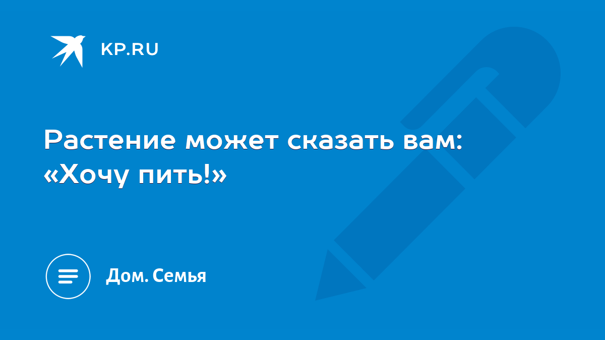 Растение может сказать вам: «Хочу пить!» - KP.RU