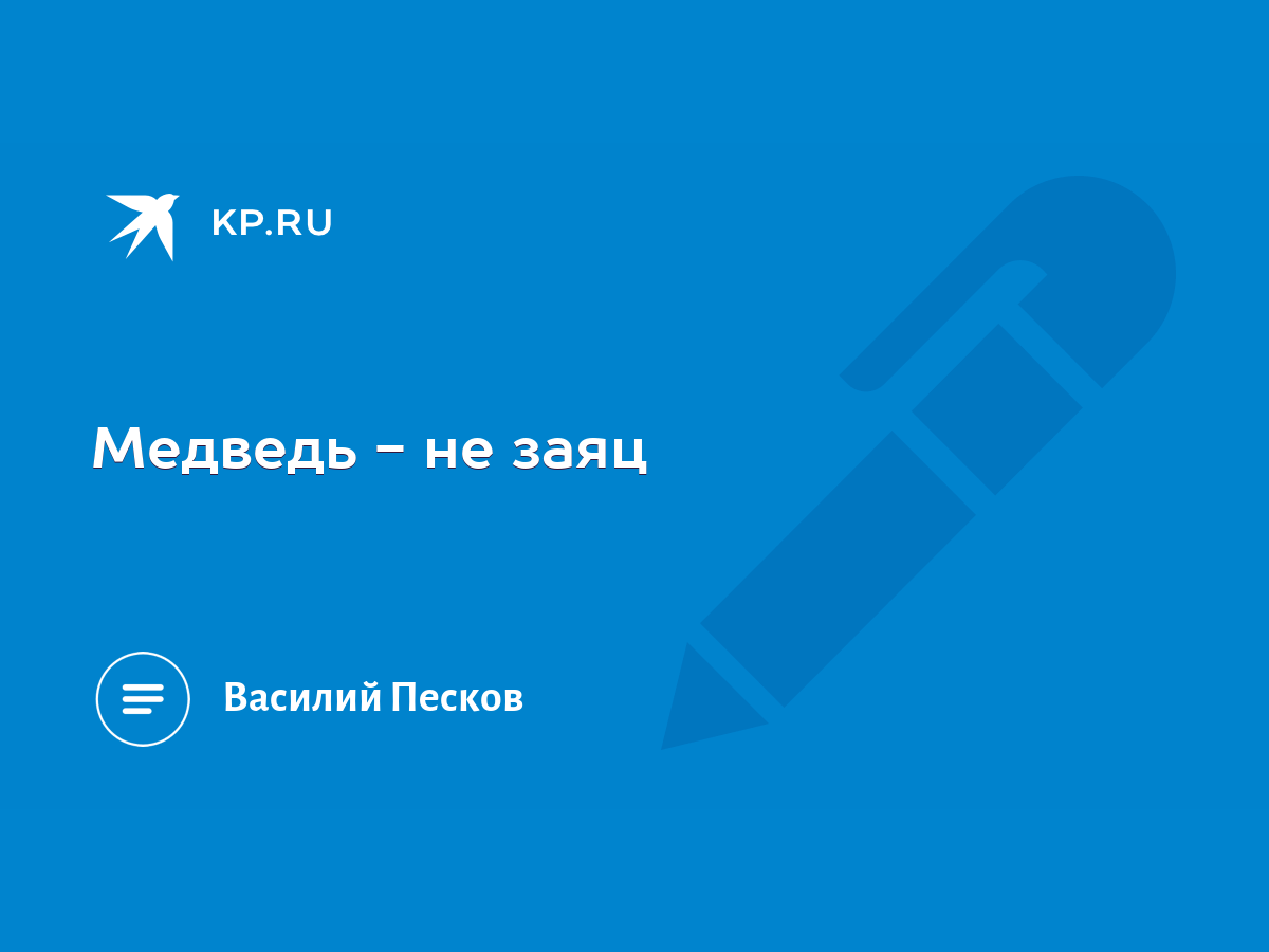 Медведь - не заяц - KP.RU