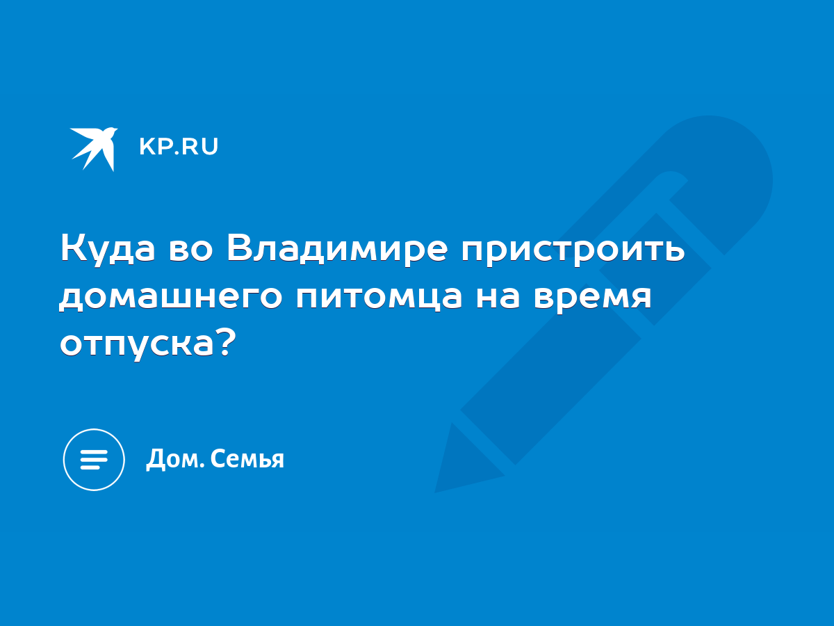 Куда во Владимире пристроить домашнего питомца на время отпуска? - KP.RU