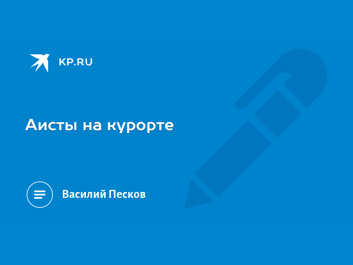 Аисты на курорте - KP.RU