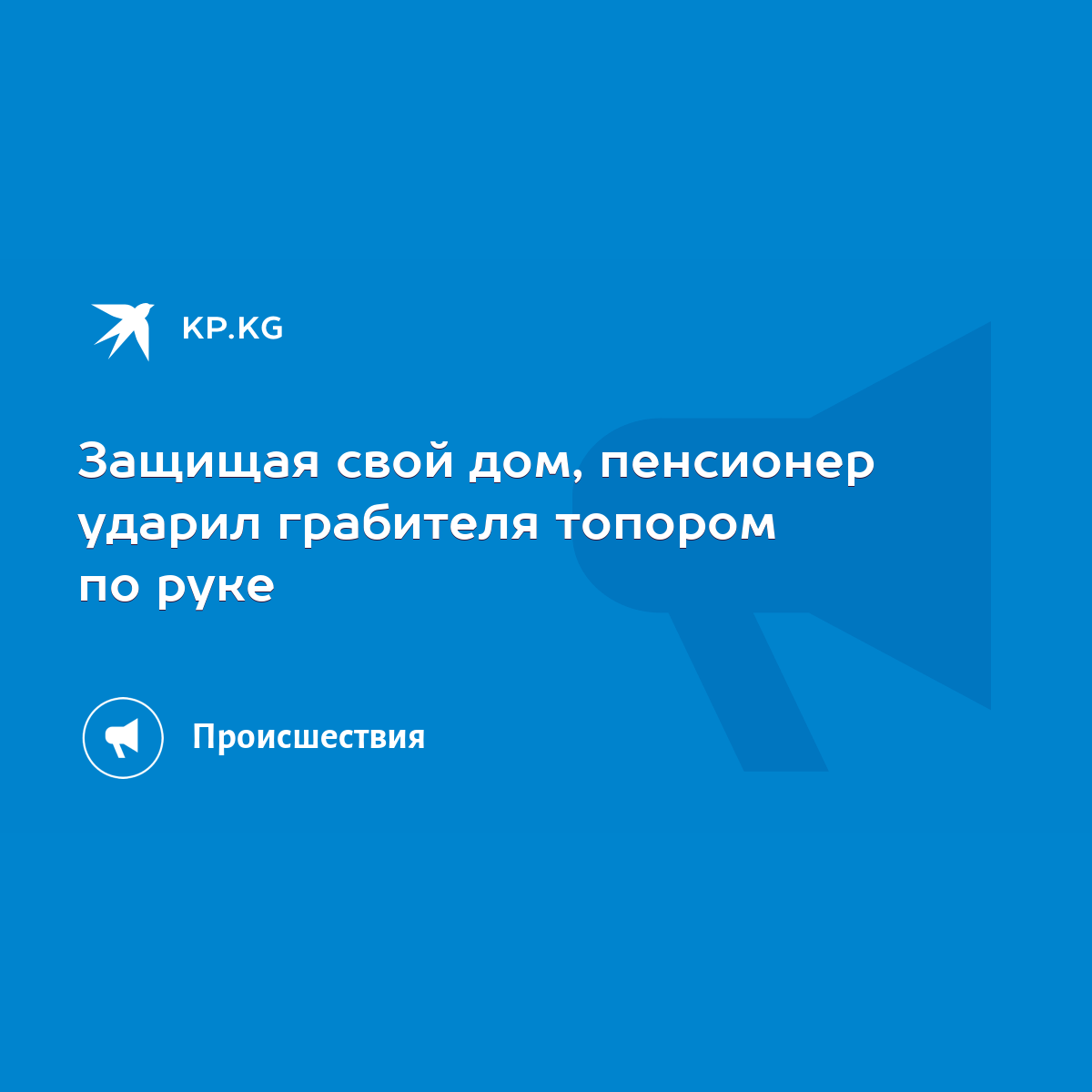 Защищая свой дом, пенсионер ударил грабителя топором по руке - KP.KG