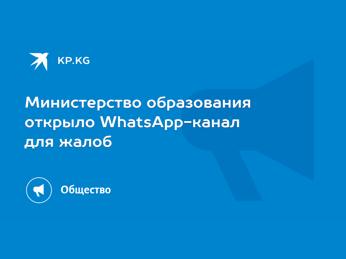 Министерство образования открыло WhatsApp-канал для жалоб - KP.KG