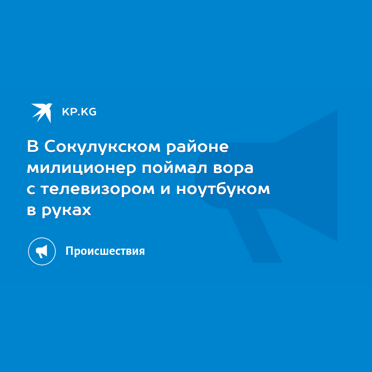 В Сокулукском районе милиционер поймал вора с телевизором и ноутбуком в  руках - KP.KG