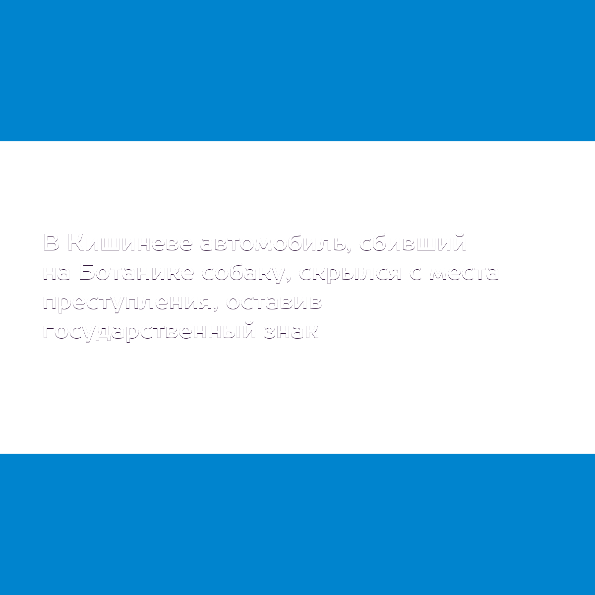 В Кишиневе автомобиль, сбивший на Ботанике собаку, скрылся с места  преступления, оставив государственный знак - MD.KP.MEDIA