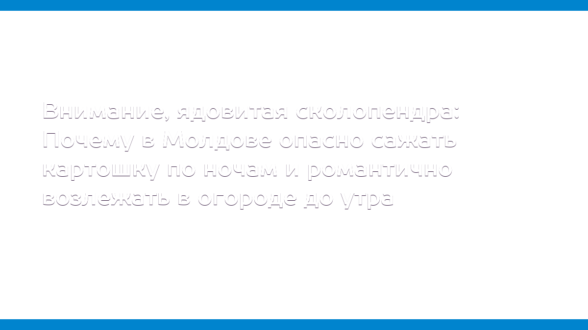 Внимание, ядовитая сколопендра: Почему в Молдове опасно сажать картошку по  ночам и романтично возлежать в огороде до утра - MD.KP.MEDIA