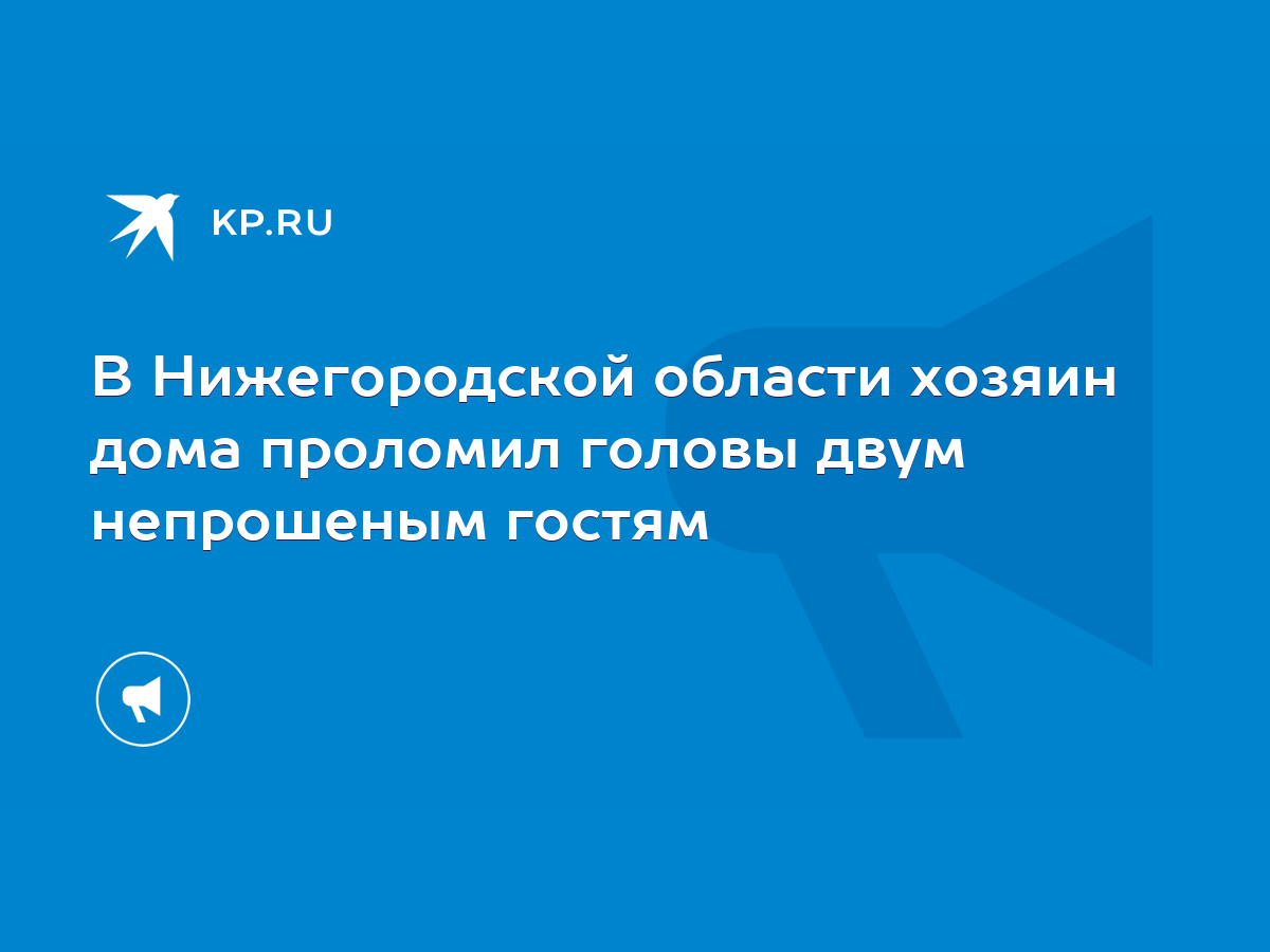 В Нижегородской области хозяин дома проломил головы двум непрошеным гостям  - KP.RU