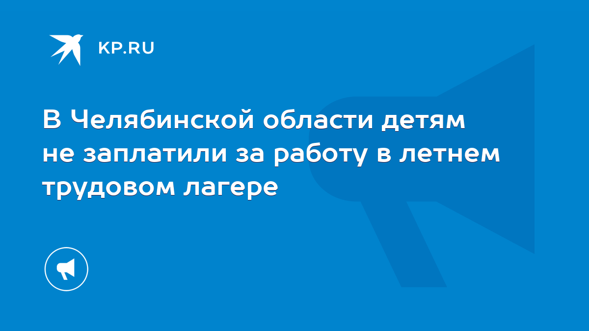 В Челябинской области детям не заплатили за работу в летнем трудовом лагере  - KP.RU